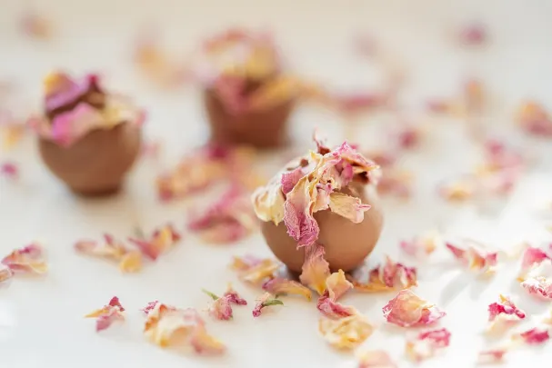 88Goals Kasino Apl Android/iOS